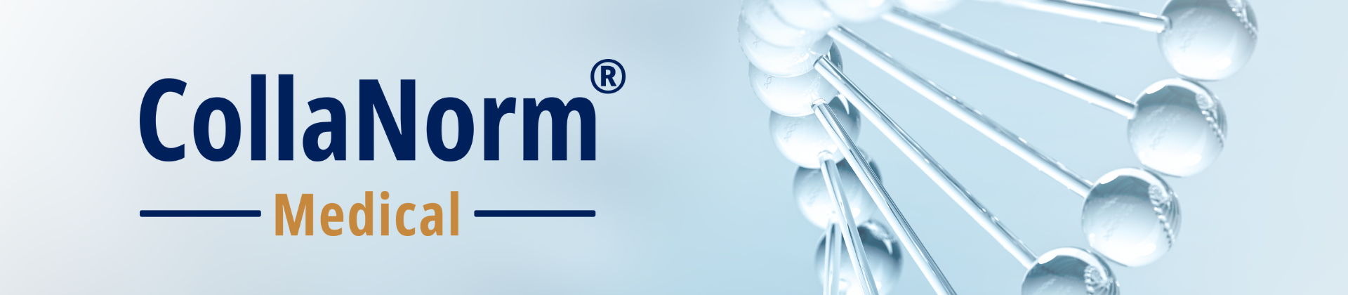 Web_pic_1920x420_collanorm.png (466 KB)